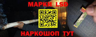 бошки Гатчина