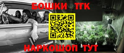 бошки Гатчина