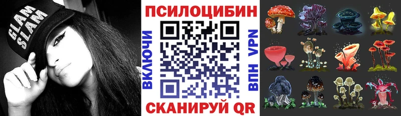 сколько стоит  Ирбит  Псилоцибиновые грибы GOLDEN TEACHER 