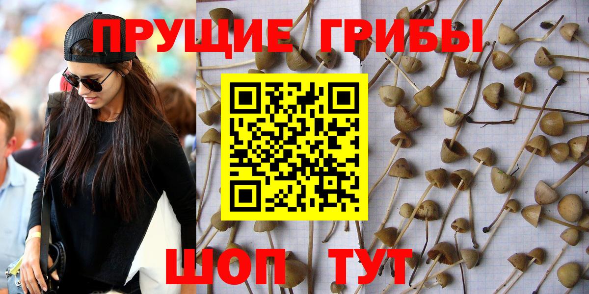 Псилоцибиновые грибы мухоморы  Ирбит  Псилоцибиновые грибы MAGIC MUSHROOMS 